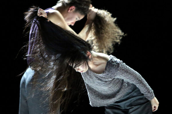 dmotion-2014-12-3 dmotion-2014-12-3