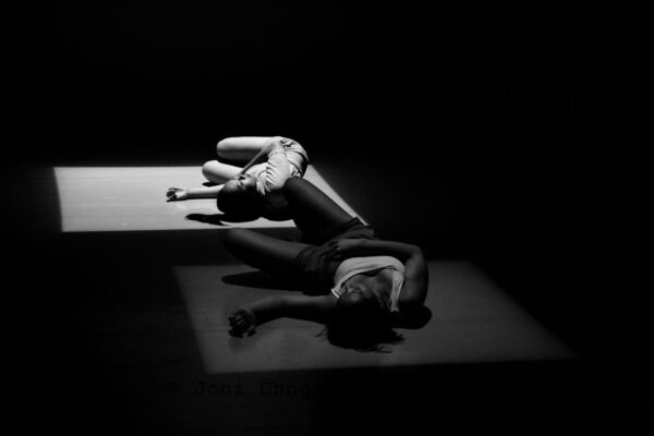 dmotion-2014-12-5 dmotion-2014-12-5