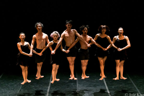 dmotion-2015-12-1 dmotion-2015-12-1