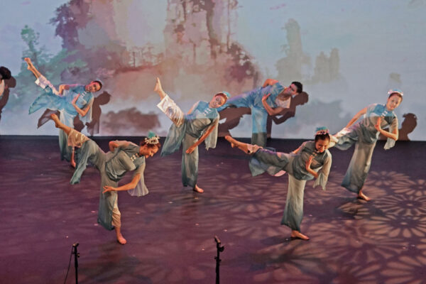 dpac-spring-festival-2019-02-1 dpac-spring-festival-2019-02-1