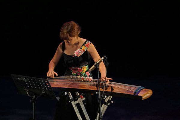 dpac-spring-festival-2019-02-4 dpac-spring-festival-2019-02-4