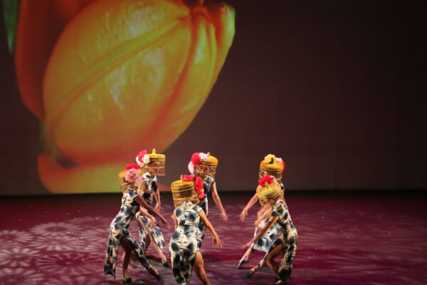 dpac-spring-festival-2020-02-1 dpac-spring-festival-2020-02-1