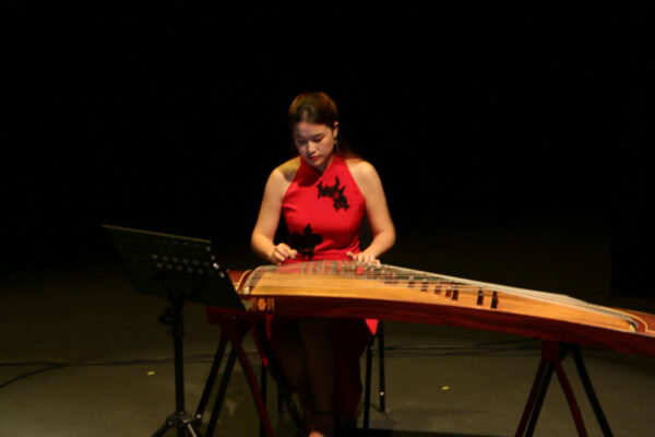 dpac-spring-festival-2020-02-2 dpac-spring-festival-2020-02-2